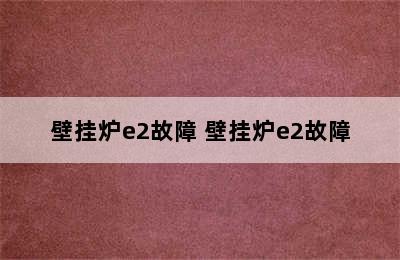 壁挂炉e2故障 壁挂炉e2故障